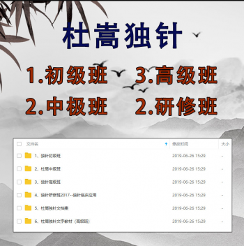 杜嵩独针初级班中级班高级班研修班视频教程合集【百度网盘下载】